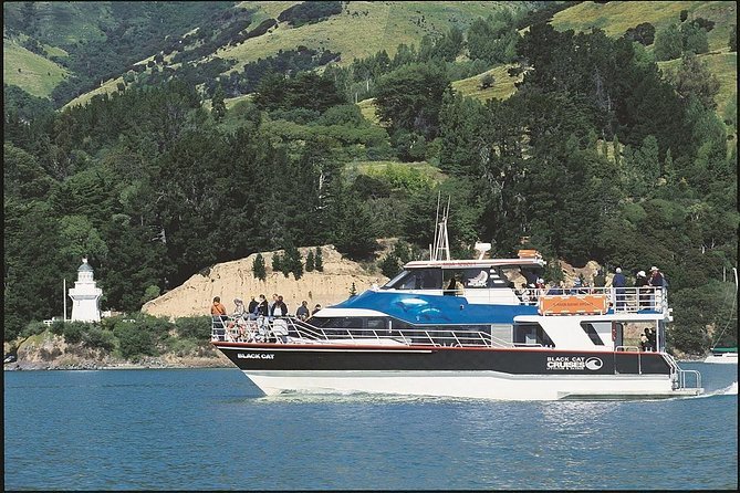 Lyttelton Port - Christchurch